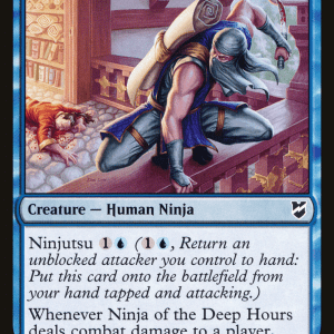 Ninja of the Deep Hours