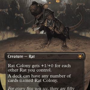 Rat Colony