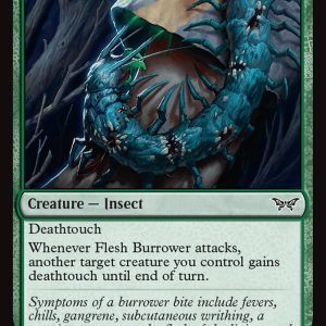 Flesh Burrower