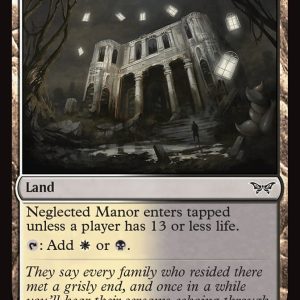 Neglected Manor