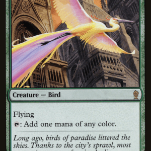 Birds of Paradise