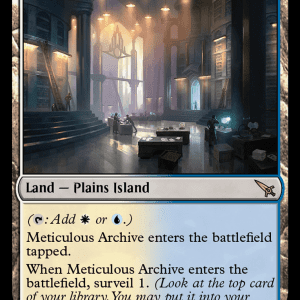 Meticulous Archive