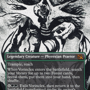 Vorinclex (Borderless)