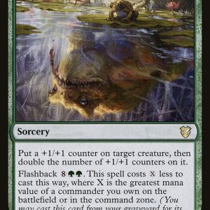 Visions of Dominance