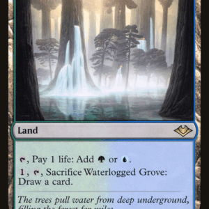 Waterlogged Grove