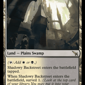 Shadowy Backstreet