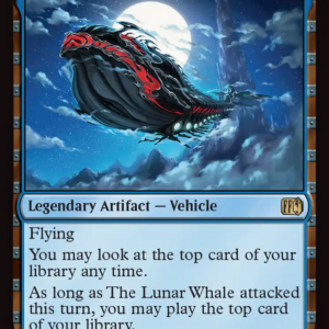 The Lunar Whale