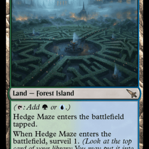 Hedge Maze