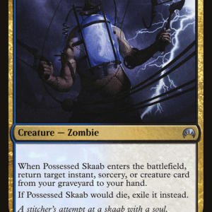 Possessed Skaab