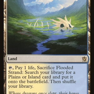 Flooded Strand
